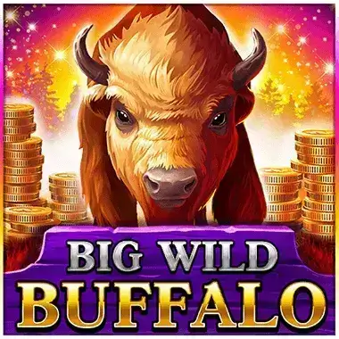 Play Big Wild Buffalo Jeetcity casino